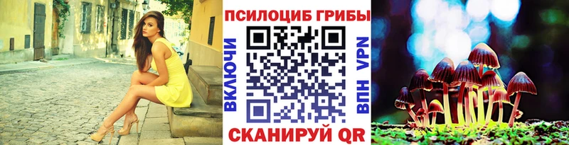 Псилоцибиновые грибы Cubensis  Купить закладки  Козловка 